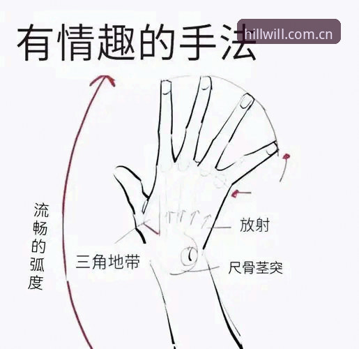 威廉希尔CN版实用技巧：从新手到高手的完整操作指南